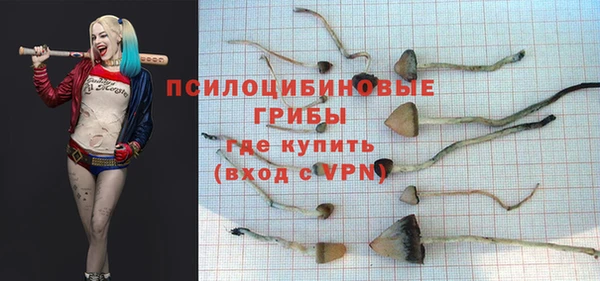 молекула духа Заволжск